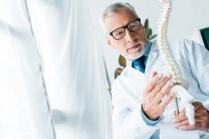 doctor holding spine model
