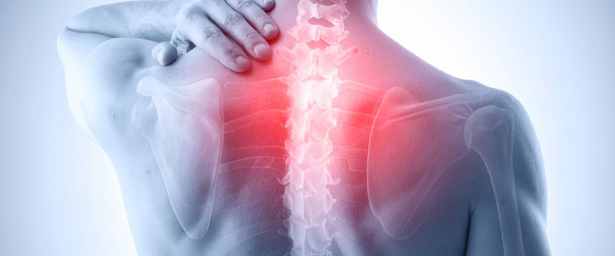 spine pain